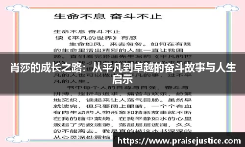 球速体育官方网址