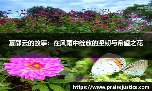 球速体育官方网址